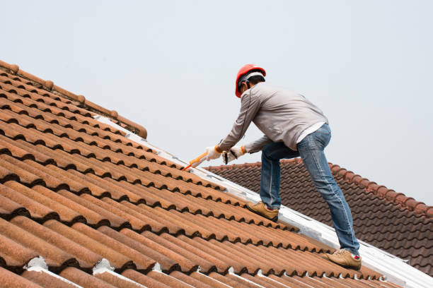  Eglin Af, FL Roofing services Pros